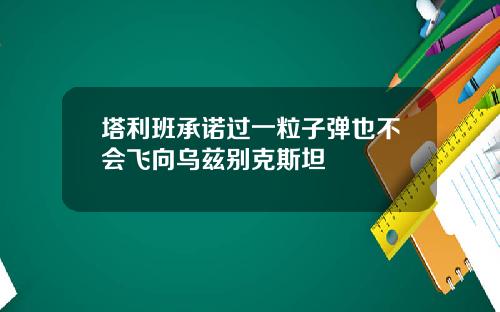 塔利班承诺过一粒子弹也不会飞向乌兹别克斯坦