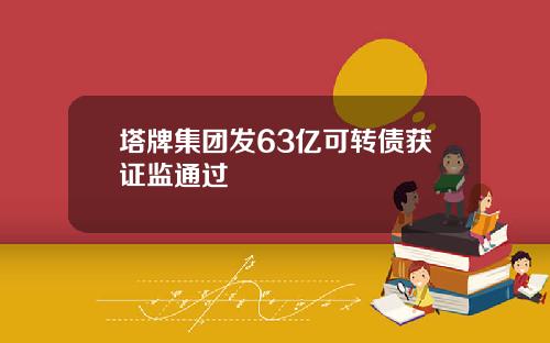 塔牌集团发63亿可转债获证监通过