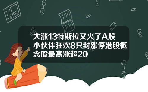 大涨13特斯拉又火了A股小伙伴狂欢8只封涨停港股概念股最高涨超20