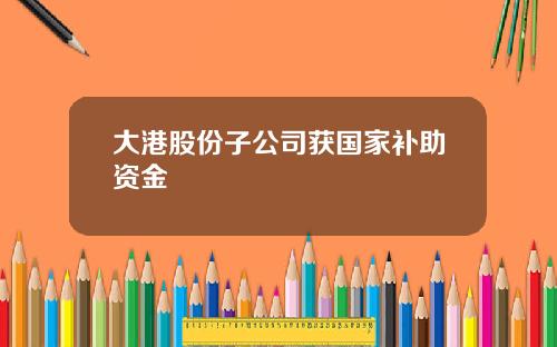 大港股份子公司获国家补助资金