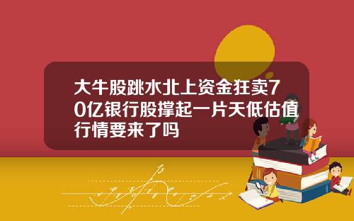大牛股跳水北上资金狂卖70亿银行股撑起一片天低估值行情要来了吗