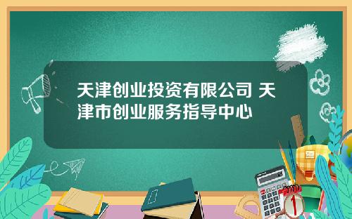 天津创业投资有限公司 天津市创业服务指导中心