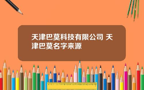 天津巴莫科技有限公司 天津巴莫名字来源