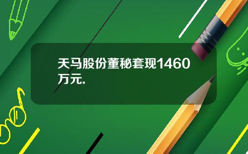 天马股份董秘套现1460万元.