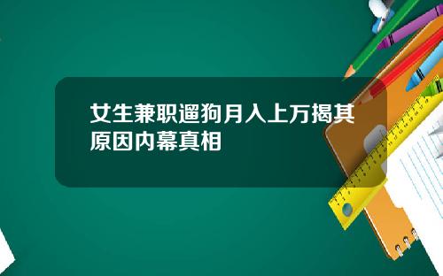 女生兼职遛狗月入上万揭其原因内幕真相