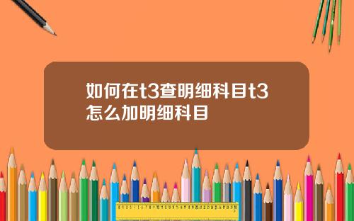 如何在t3查明细科目t3怎么加明细科目
