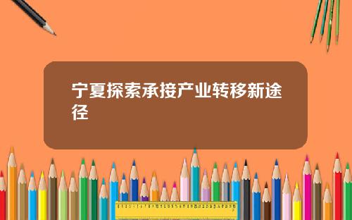 宁夏探索承接产业转移新途径