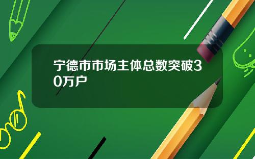 宁德市市场主体总数突破30万户