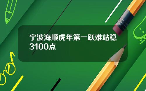 宁波海顺虎年第一跃难站稳3100点