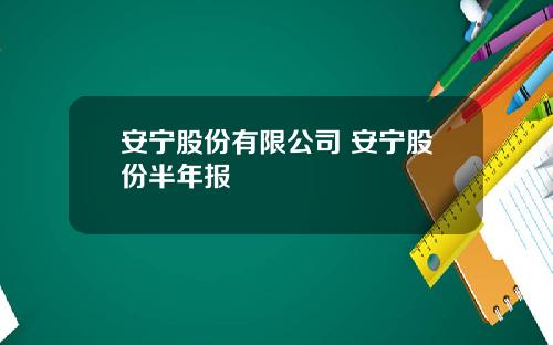安宁股份有限公司 安宁股份半年报