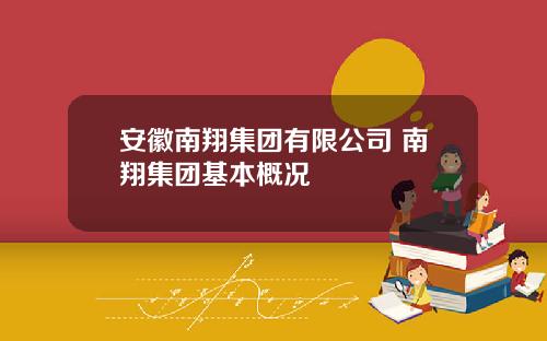 安徽南翔集团有限公司 南翔集团基本概况