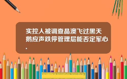实控人被调查晶澳飞过黑天鹅应声跌停管理层能否定军心.