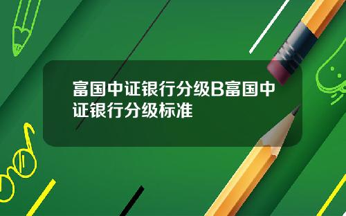富国中证银行分级B富国中证银行分级标准