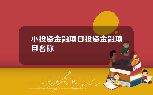 小投资金融项目投资金融项目名称