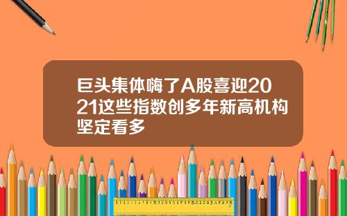 巨头集体嗨了A股喜迎2021这些指数创多年新高机构坚定看多
