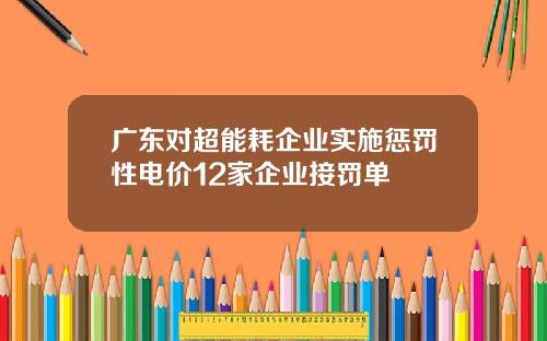 广东对超能耗企业实施惩罚性电价12家企业接罚单