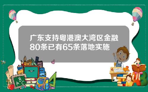 广东支持粤港澳大湾区金融80条已有65条落地实施