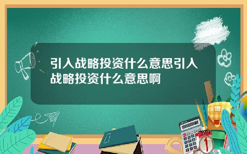 引入战略投资什么意思引入战略投资什么意思啊