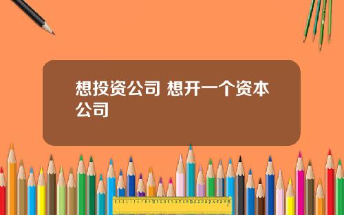 想投资公司 想开一个资本公司