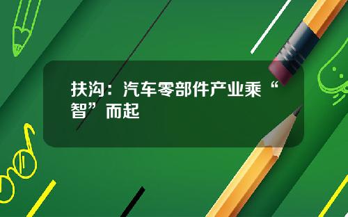 扶沟：汽车零部件产业乘“智”而起