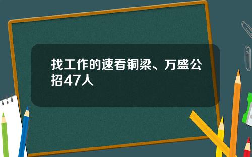 找工作的速看铜梁、万盛公招47人