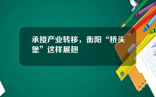 承接产业转移，衡阳“桥头堡”这样展翅