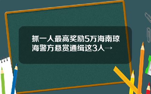 抓一人最高奖励5万海南琼海警方悬赏通缉这3人→