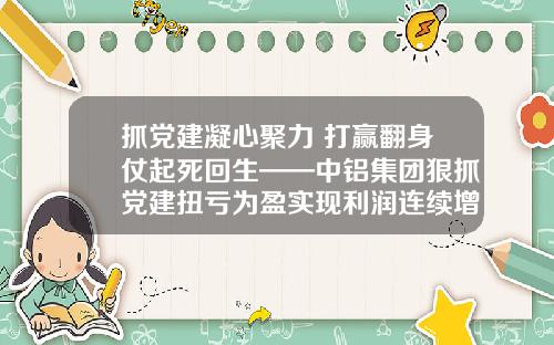 抓党建凝心聚力 打赢翻身仗起死回生——中铝集团狠抓党建扭亏为盈实现利润连续增长