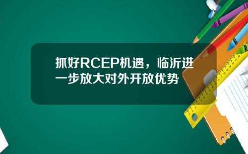 抓好RCEP机遇，临沂进一步放大对外开放优势
