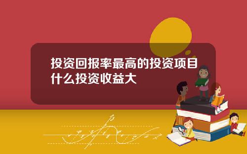 投资回报率最高的投资项目什么投资收益大