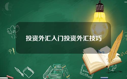 投资外汇入门投资外汇技巧