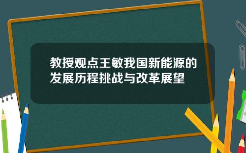 教授观点王敏我国新能源的发展历程挑战与改革展望