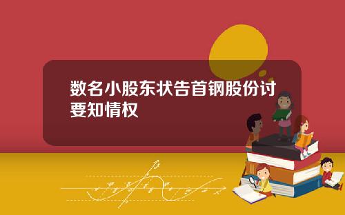 数名小股东状告首钢股份讨要知情权