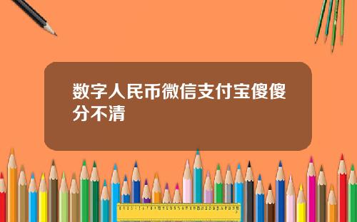 数字人民币微信支付宝傻傻分不清