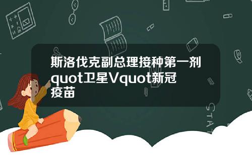 斯洛伐克副总理接种第一剂quot卫星Vquot新冠疫苗