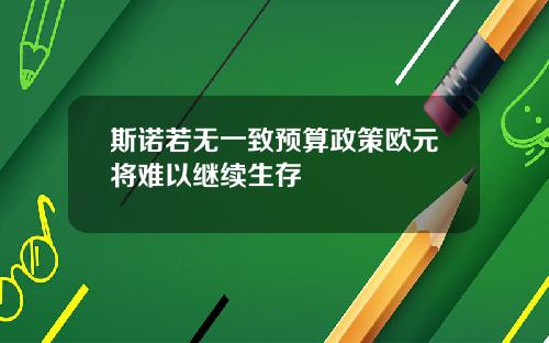 斯诺若无一致预算政策欧元将难以继续生存