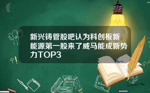 新兴铸管股吧认为科创板新能源第一股来了威马能成新势力TOP3