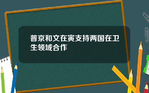 普京和文在寅支持两国在卫生领域合作