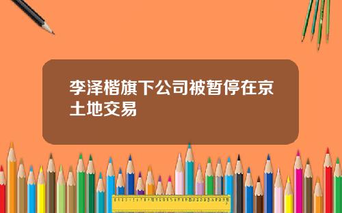 李泽楷旗下公司被暂停在京土地交易