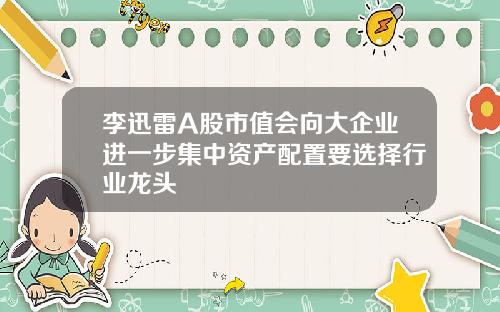李迅雷A股市值会向大企业进一步集中资产配置要选择行业龙头
