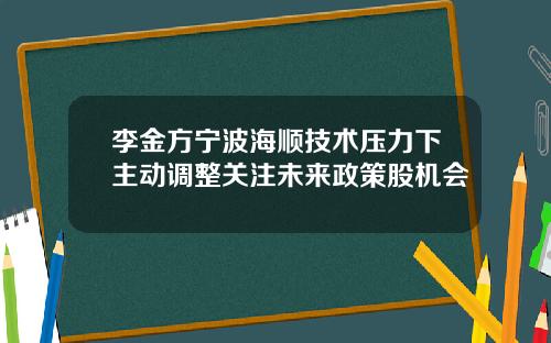 李金方宁波海顺技术压力下主动调整关注未来政策股机会