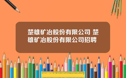 楚雄矿冶股份有限公司 楚雄矿冶股份有限公司招聘