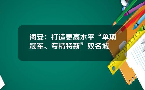 海安：打造更高水平“单项冠军、专精特新”双名城