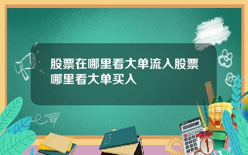 股票在哪里看大单流入股票哪里看大单买入