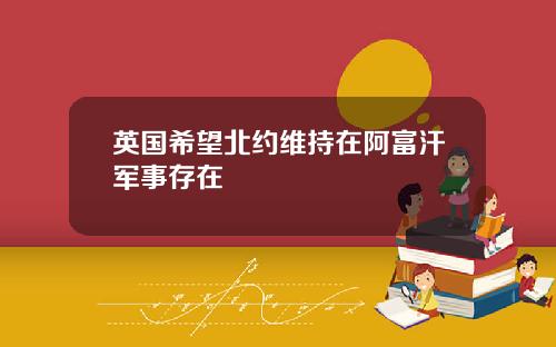 英国希望北约维持在阿富汗军事存在