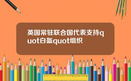 英国常驻联合国代表支持quot白盔quot组织