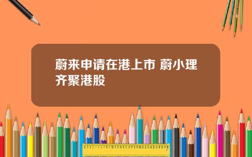 蔚来申请在港上市 蔚小理齐聚港股