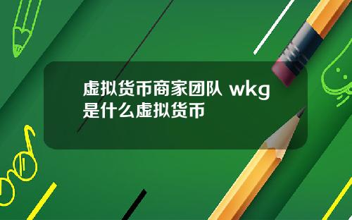 虚拟货币商家团队 wkg是什么虚拟货币