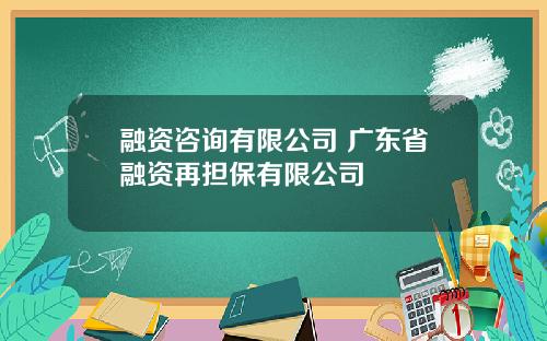 融资咨询有限公司 广东省融资再担保有限公司