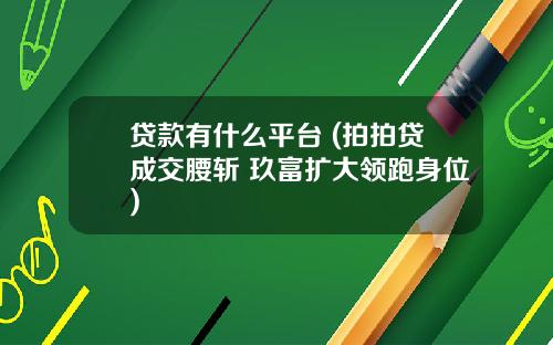 贷款有什么平台 (拍拍贷成交腰斩 玖富扩大领跑身位)
